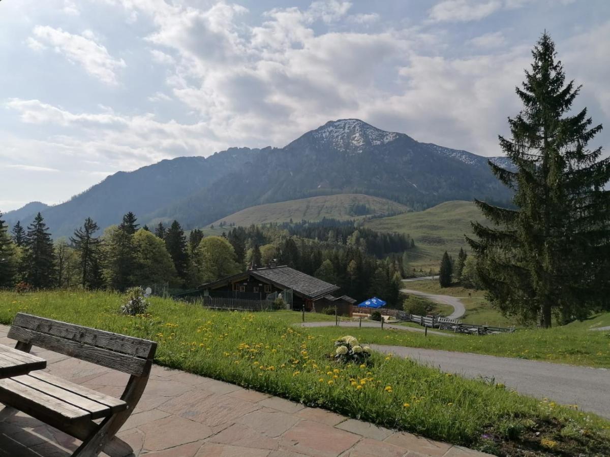 Haus Obweg - Postalm Aparthotel Hallein Bagian luar foto