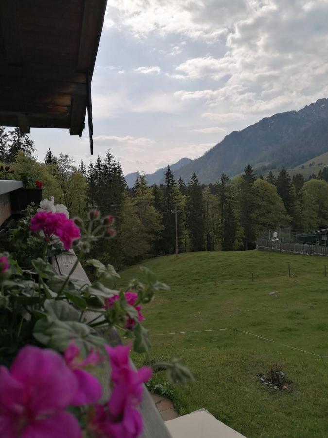 Haus Obweg - Postalm Aparthotel Hallein Bagian luar foto